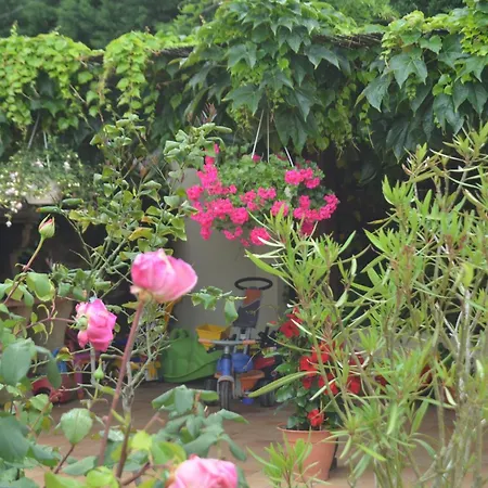 Oda ve Kahvaltı D'hotes La Forterie 3*