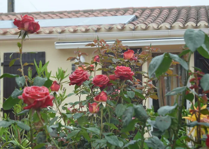 D'hotes La Forterie Oda ve Kahvaltı Vairé