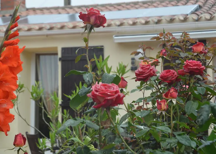 D'hotes La Forterie 3* Vairé