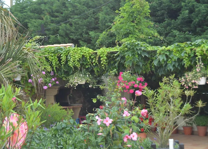 Oda ve Kahvaltı D'hotes La Forterie Vairé