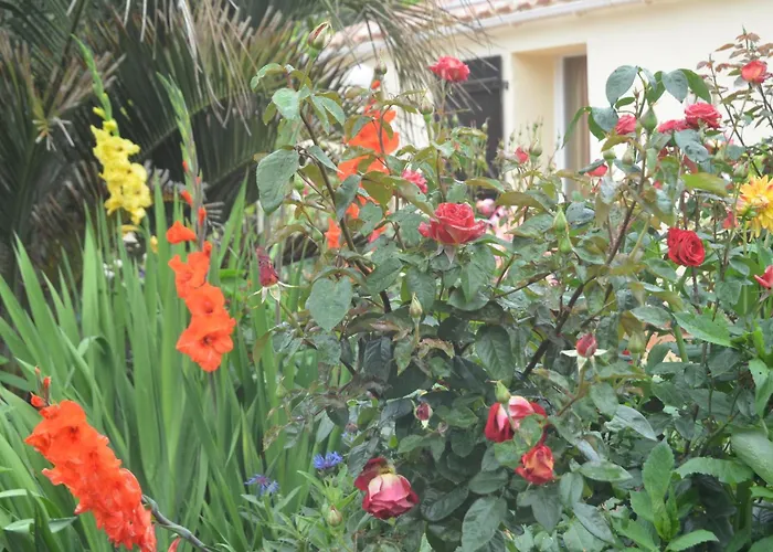 D'hotes La Forterie 3* Vairé